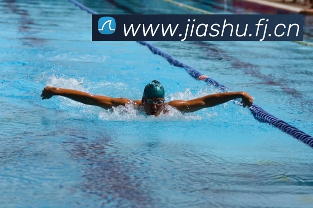 米兰官网入口平台生态图